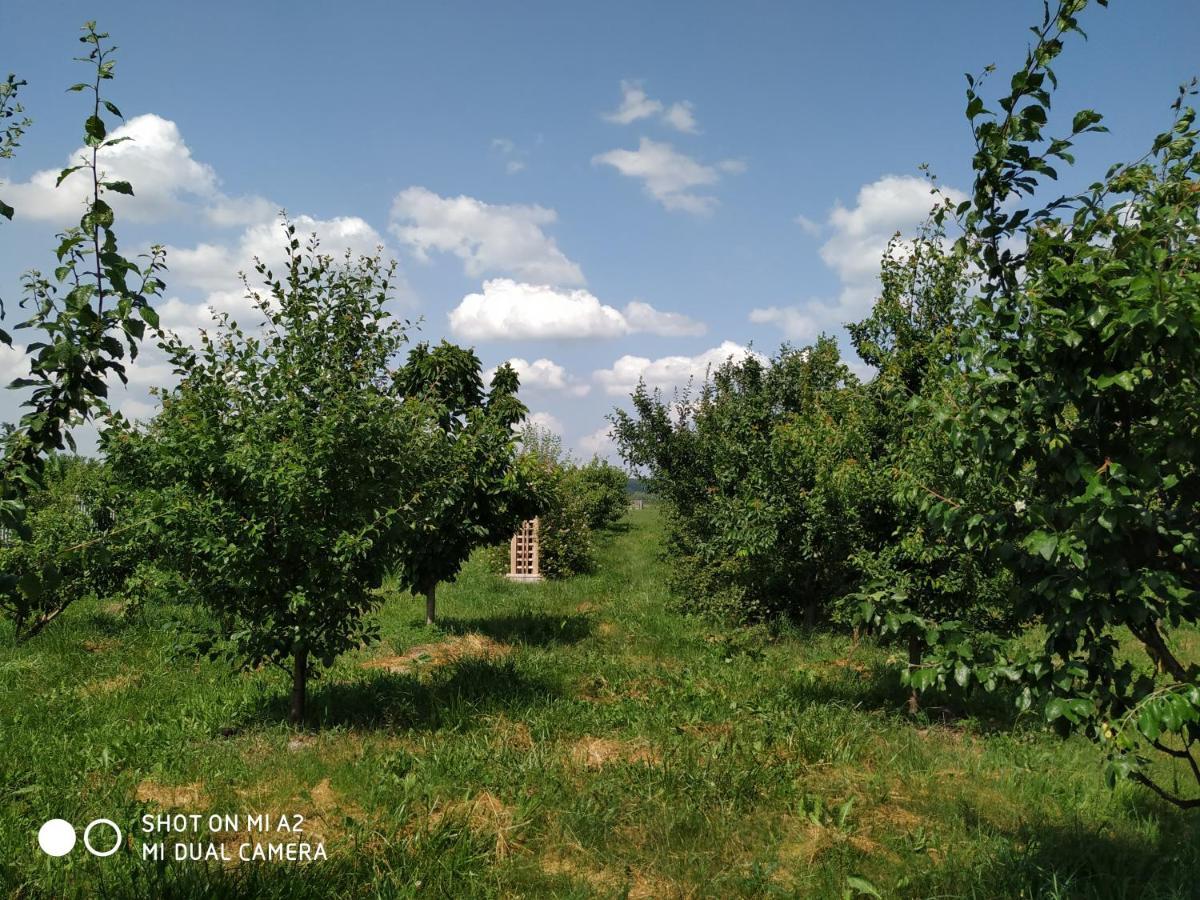 Malgorzatka *